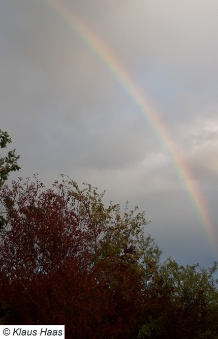 2024 2 18 Regenbogen